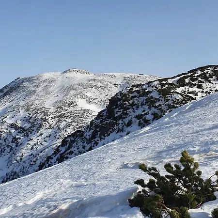 別荘 Gosidomek ザボヤ