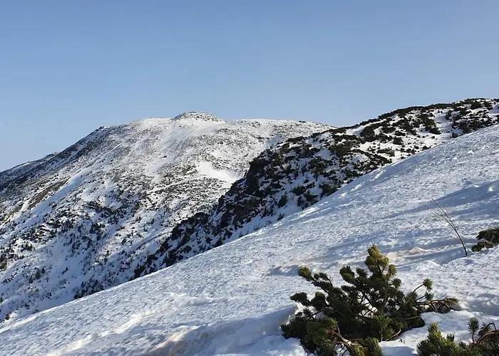 度假居 Gosidomek 扎沃亚